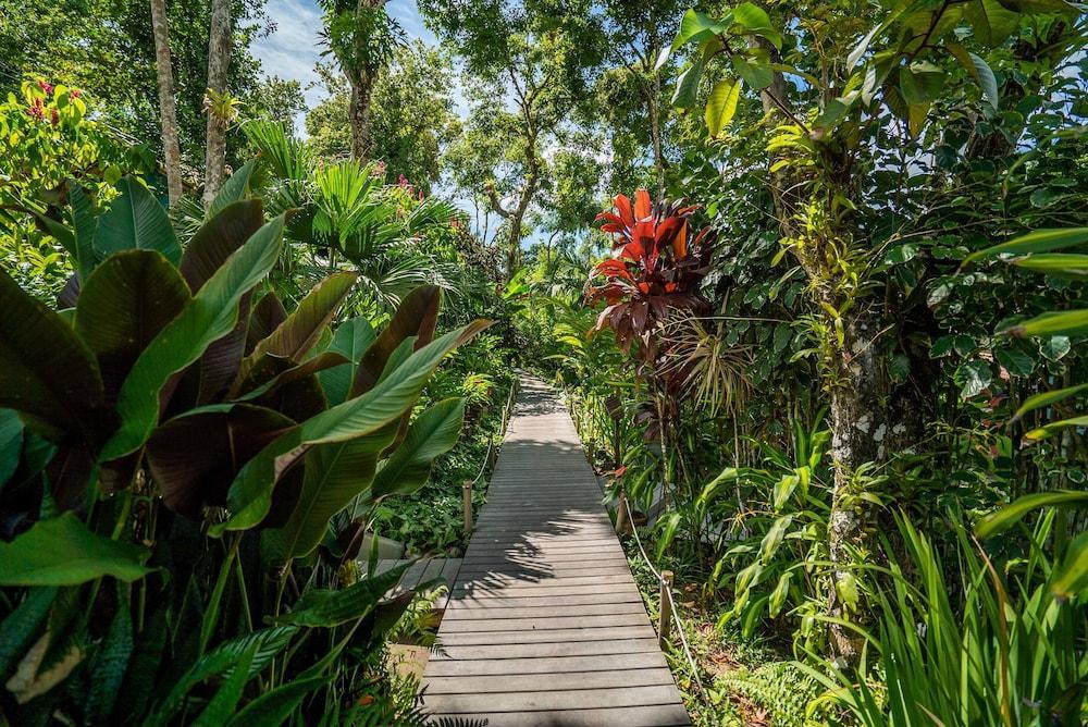 Pousada Do Bosque Porto Seguro Zewnętrze zdjęcie