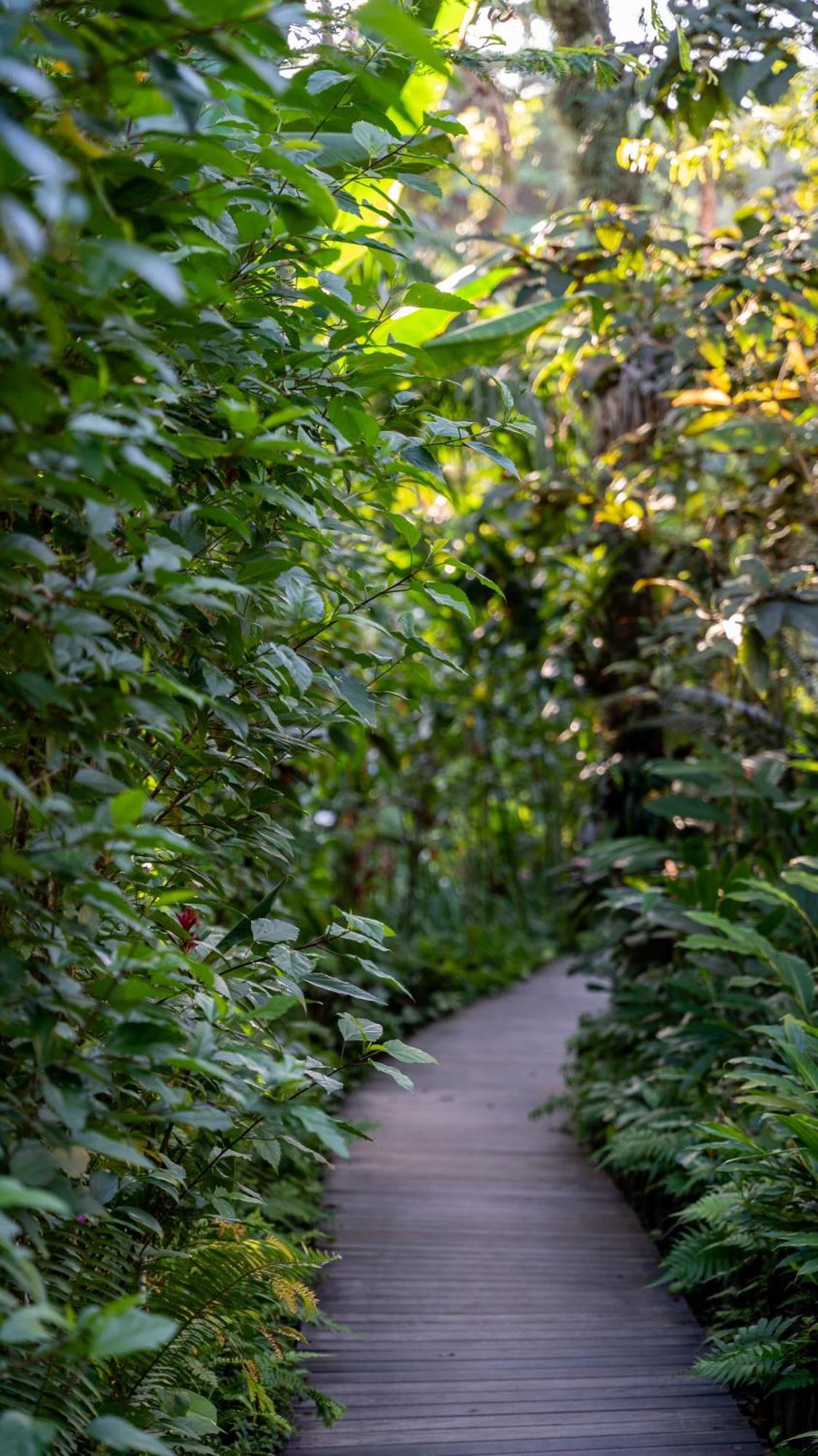 Pousada Do Bosque Porto Seguro Zewnętrze zdjęcie